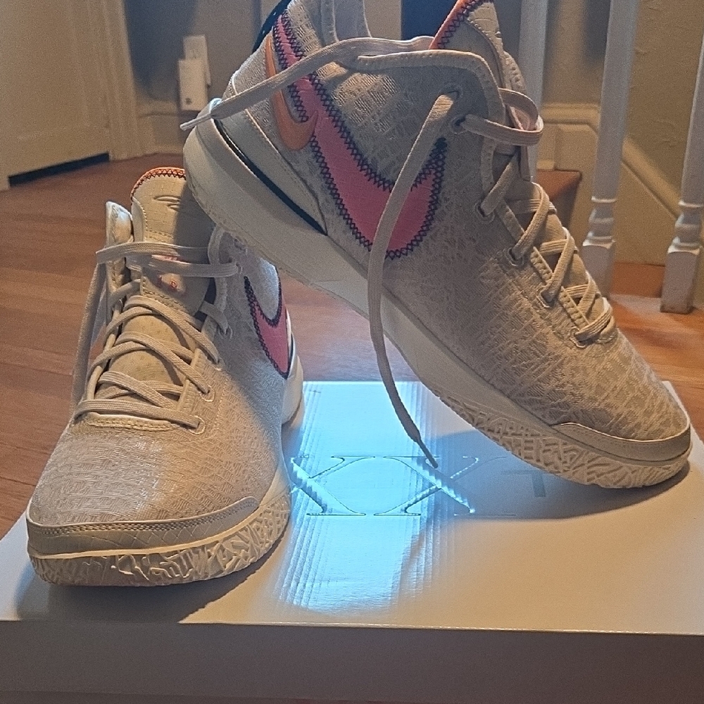 Zoom Lebron Nxxt Gen Sneakers